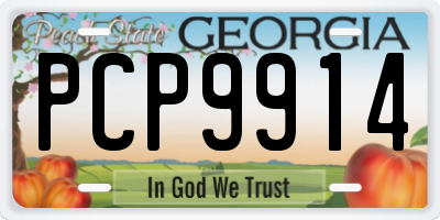 GA license plate PCP9914