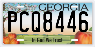 GA license plate PCQ8446