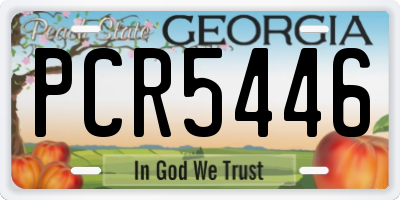 GA license plate PCR5446