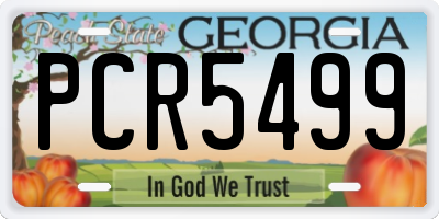 GA license plate PCR5499
