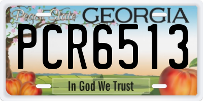 GA license plate PCR6513
