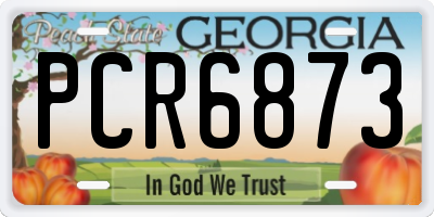 GA license plate PCR6873