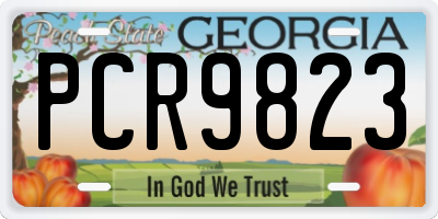 GA license plate PCR9823