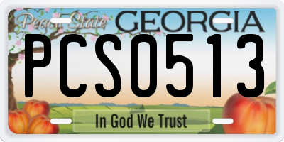 GA license plate PCS0513