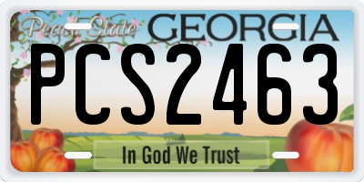 GA license plate PCS2463