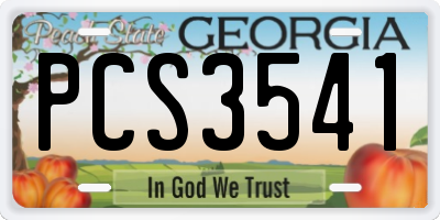 GA license plate PCS3541