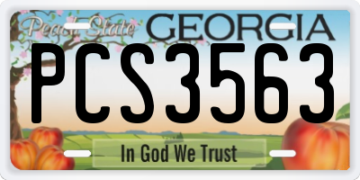 GA license plate PCS3563