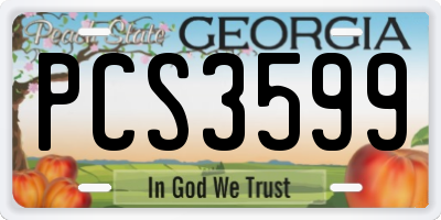 GA license plate PCS3599