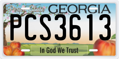GA license plate PCS3613