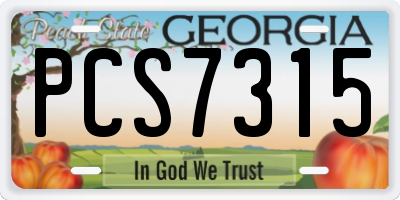 GA license plate PCS7315