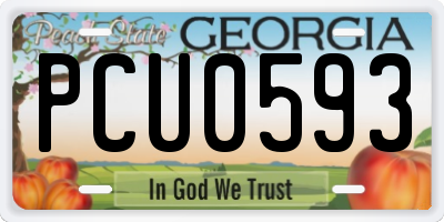GA license plate PCU0593