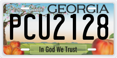 GA license plate PCU2128