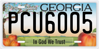 GA license plate PCU6005