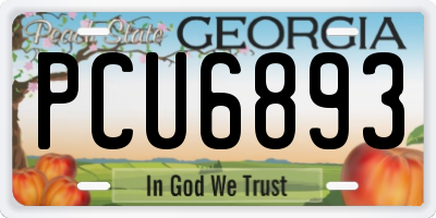 GA license plate PCU6893