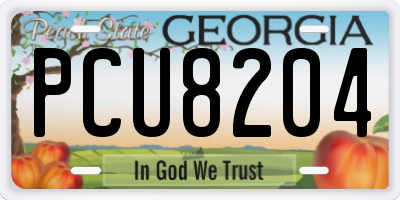 GA license plate PCU8204