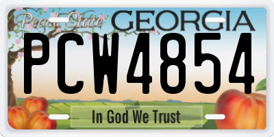 GA license plate PCW4854