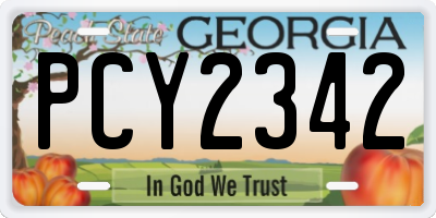 GA license plate PCY2342