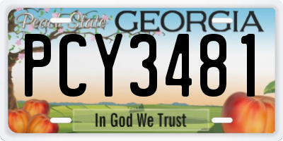 GA license plate PCY3481