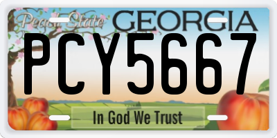 GA license plate PCY5667