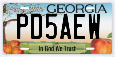 GA license plate PD5AEW