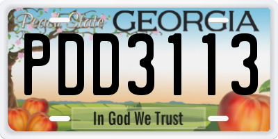 GA license plate PDD3113
