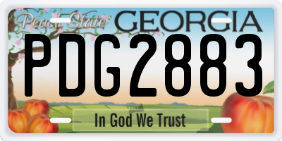 GA license plate PDG2883