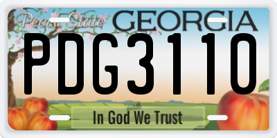 GA license plate PDG3110