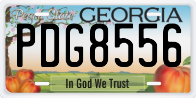 GA license plate PDG8556