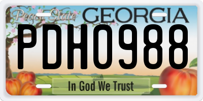 GA license plate PDH0988