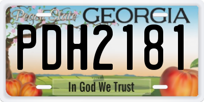 GA license plate PDH2181