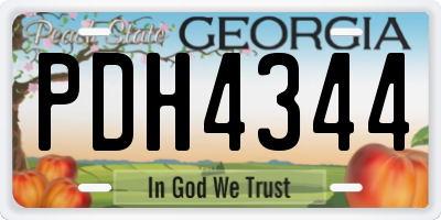 GA license plate PDH4344