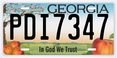 GA license plate PDI7347
