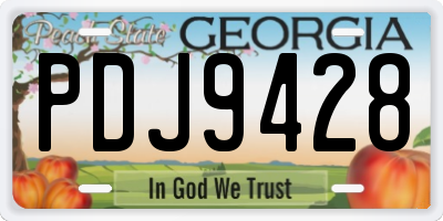 GA license plate PDJ9428