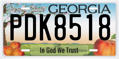 GA license plate PDK8518