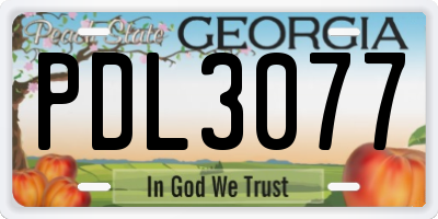 GA license plate PDL3077