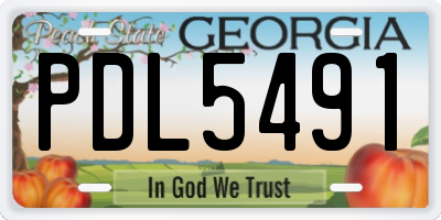 GA license plate PDL5491