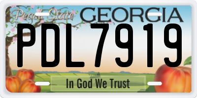 GA license plate PDL7919