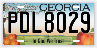 GA license plate PDL8029