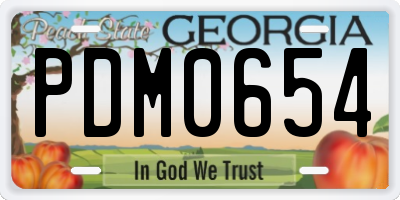 GA license plate PDM0654