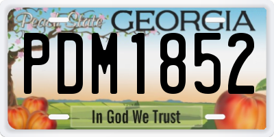 GA license plate PDM1852