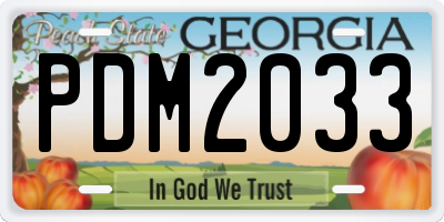 GA license plate PDM2033