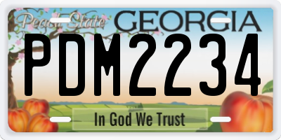 GA license plate PDM2234