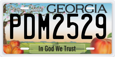 GA license plate PDM2529