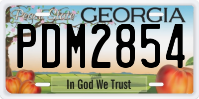 GA license plate PDM2854