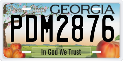 GA license plate PDM2876