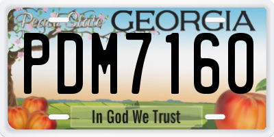 GA license plate PDM7160