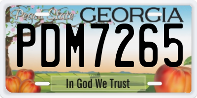 GA license plate PDM7265