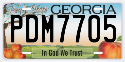 GA license plate PDM7705
