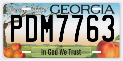 GA license plate PDM7763