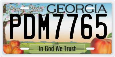 GA license plate PDM7765